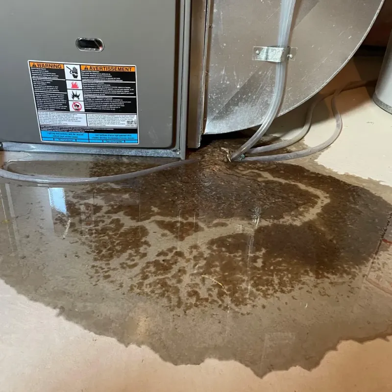 Appliance Leak Cleanup in Ravensdale, WA
