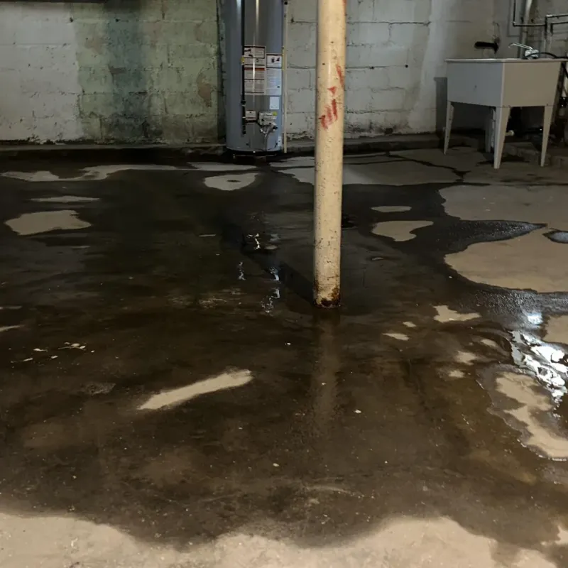 Emergency Water Extraction And Removal in Ravensdale, WA